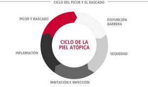 IOMED, ganadora de Health-U, el programa de Sanofi dirigido a startups del ámbito de la salud