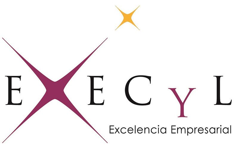 Logo-Execyl