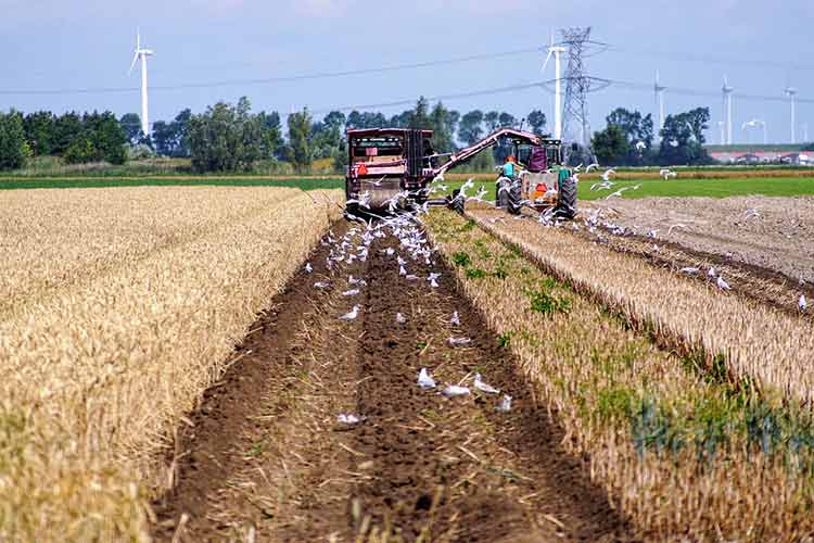 farmer-2497466_960_720