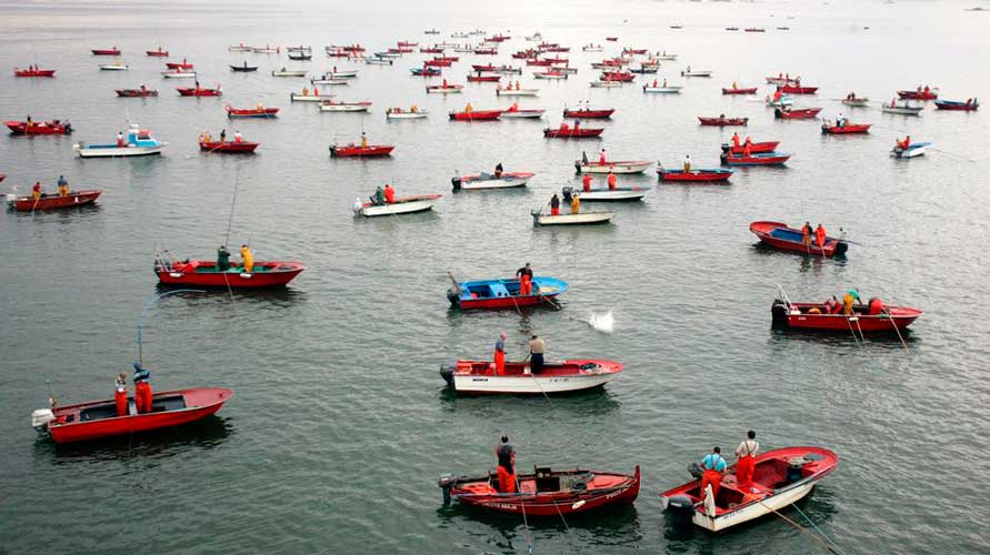 La UPTA denuncia la imposibilidad de los trabajadores autónomos de mar para optar a formación