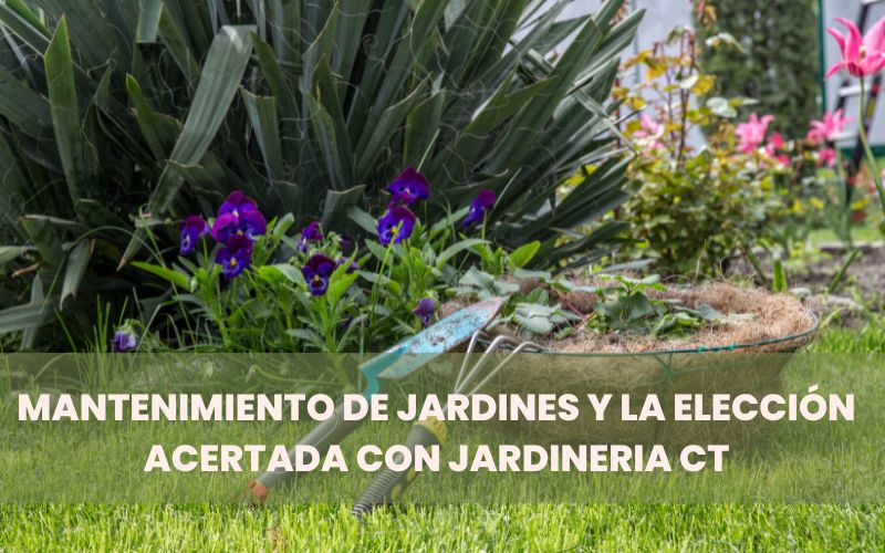 Mantenimiento de jardines y la elección acertada con Jardineria CT