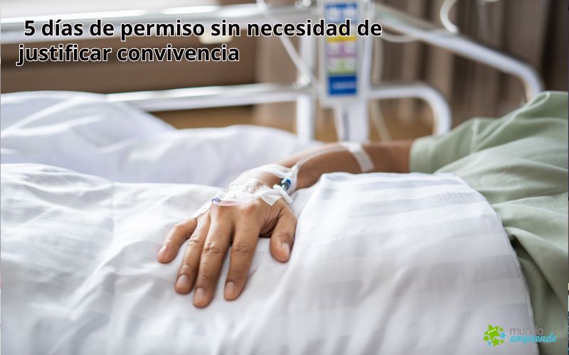 Nueva sentencia otorga cinco días de permiso sin necesidad de justificar convivencia Nueva sentencia otorga cinco días de permiso sin necesidad de justificar convivencia: ¿cómo afecta a trabajadores y empresas?